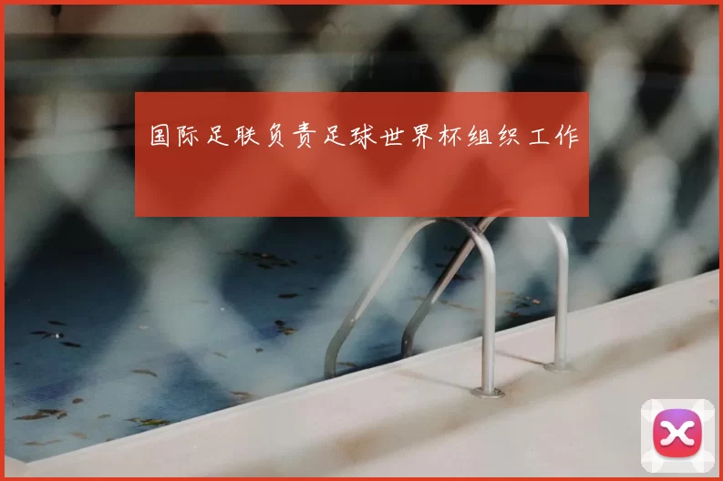 国际足联负责足球世界杯组织工作