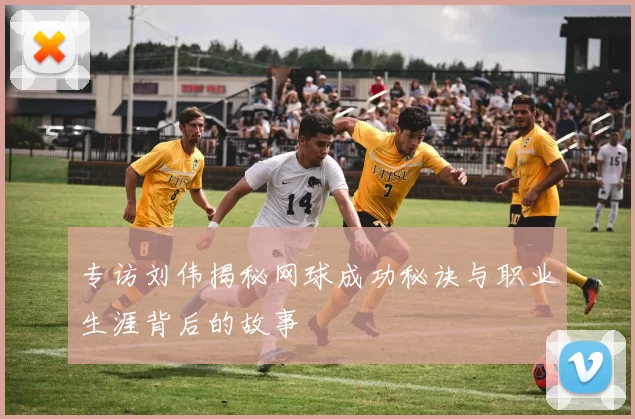 专访刘伟揭秘网球成功秘诀与职业生涯背后的故事