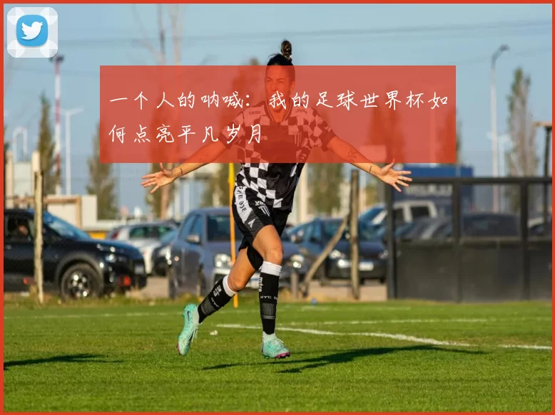 一个人的呐喊：我的足球世界杯如何点亮平凡岁月