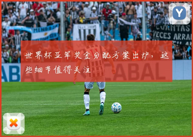 世界杯亚军奖金分配方案出炉，这些细节值得关注