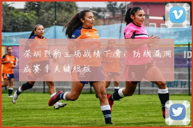 深圳烈豹主场战绩下滑，防线漏洞成赛季关键短板