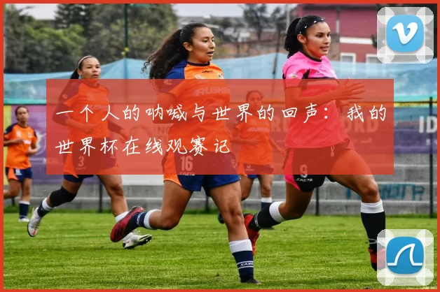 一个人的呐喊与世界的回声：我的世界杯在线观赛记