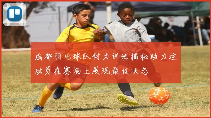 成都羽毛球队耐力训练揭秘助力运动员在赛场上展现最佳状态