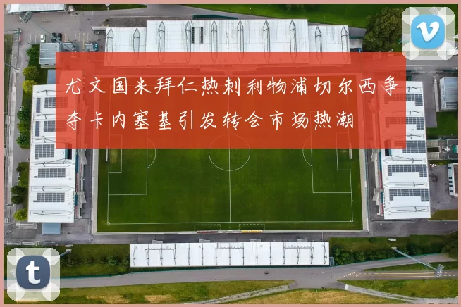 尤文国米拜仁热刺利物浦切尔西争夺卡内塞基引发转会市场热潮