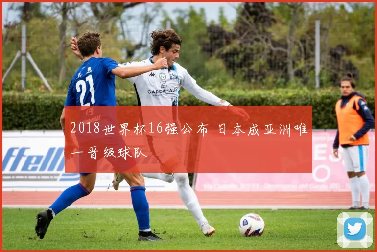 2018世界杯16强公布 日本成亚洲唯一晋级球队