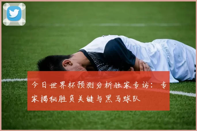 今日世界杯预测分析独家专访：专家揭秘胜负关键与黑马球队