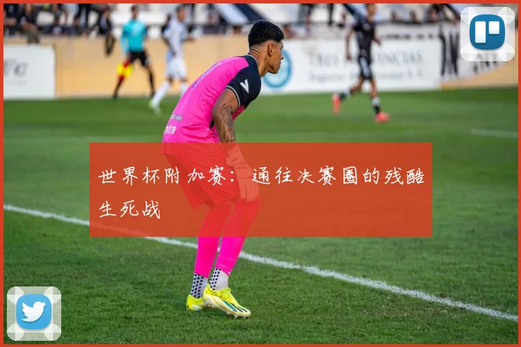 世界杯附加赛:通往决赛圈的残酷生死战