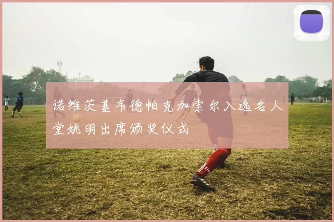 诺维茨基韦德帕克加索尔入选名人堂姚明出席颁奖仪式