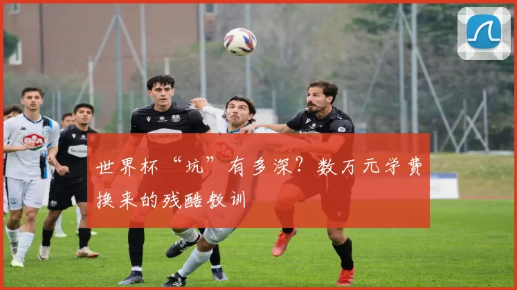 世界杯“坑”有多深?数万元学费换来的残酷教训