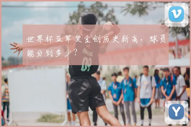 世界杯亚军奖金创历史新高,球员能分到多少?
