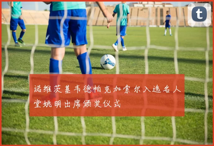 诺维茨基韦德帕克加索尔入选名人堂姚明出席颁奖仪式
